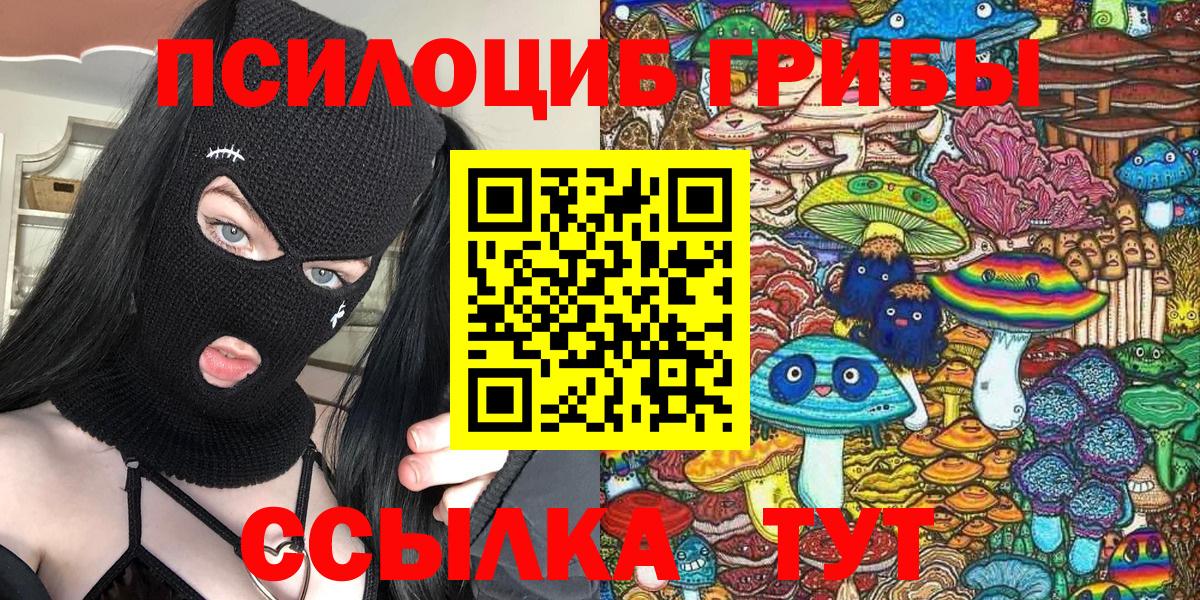 Чапаевск  Галлюциногенные грибы Psilocybine cubensis  Вход с VPN  Псилоцибиновые грибы прущие грибы 