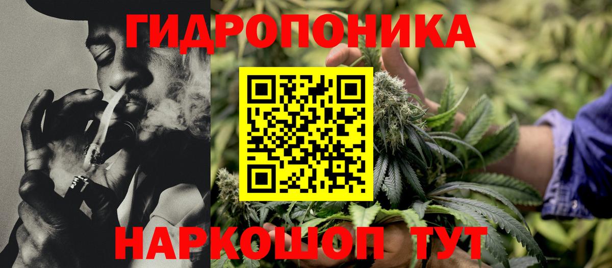 Шишки марихуана марихуана Чапаевск